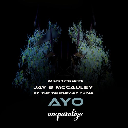 Jay B McCauley - Ayo [UNQTZ325]